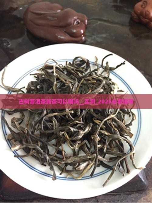 古树普洱茶新茶可以喝吗