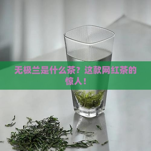 无极兰是什么茶