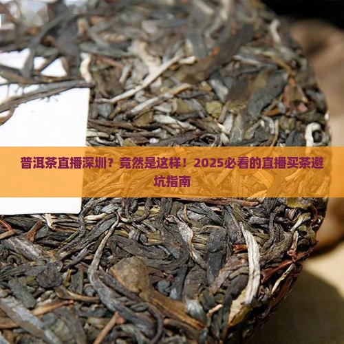 普洱茶直播深圳
