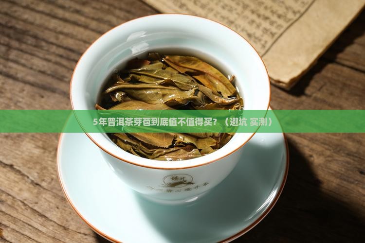 5年的普洱茶芽苞