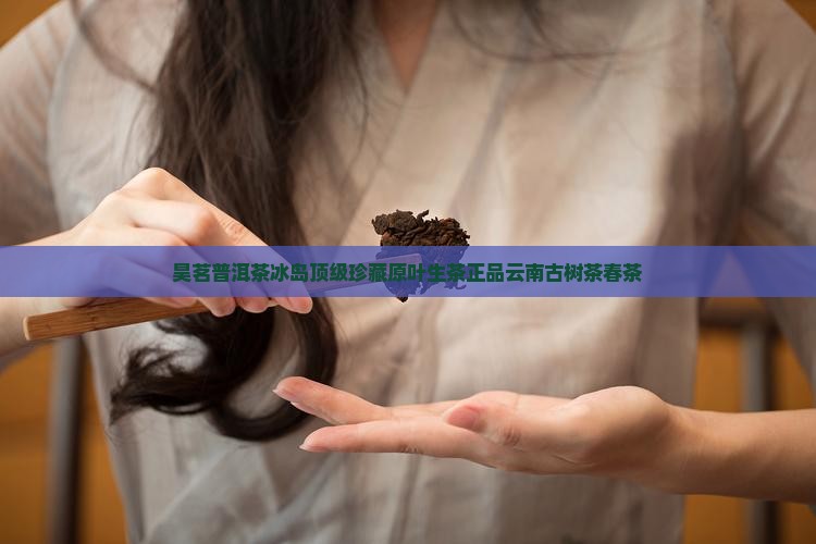 昊茗普洱茶冰岛