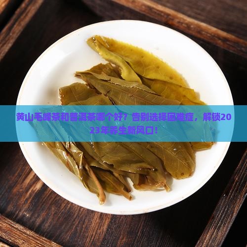 黄山毛峰茶和普洱茶哪个好