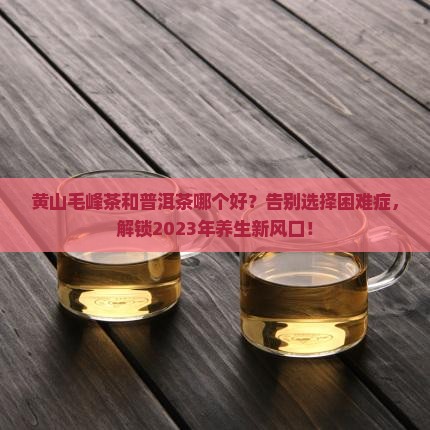 黄山毛峰茶和普洱茶哪个好