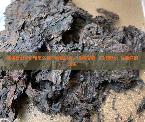 抱诚普洱茶价格