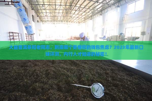 大益普洱茶还是老同志好