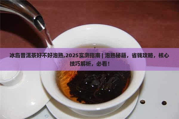 冰岛普洱茶好不好泡熟