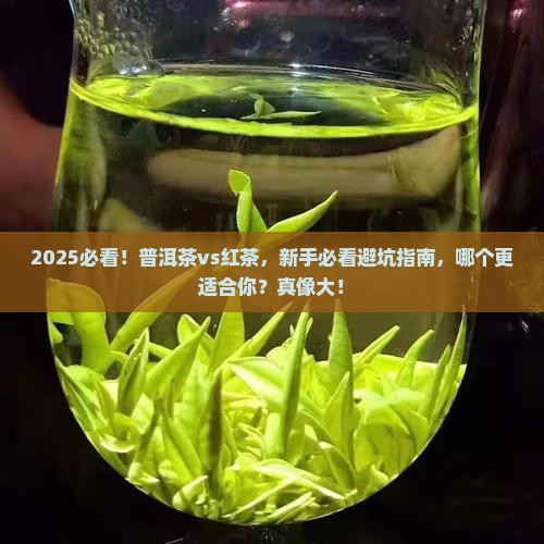 普洱茶红茶哪个比较好