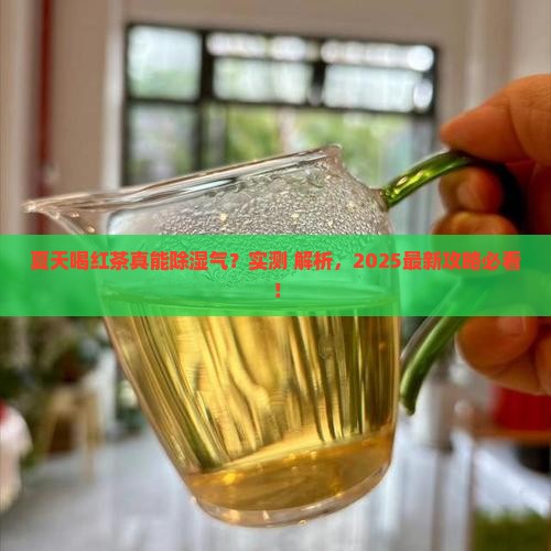 夏天喝红茶可以除湿气吗