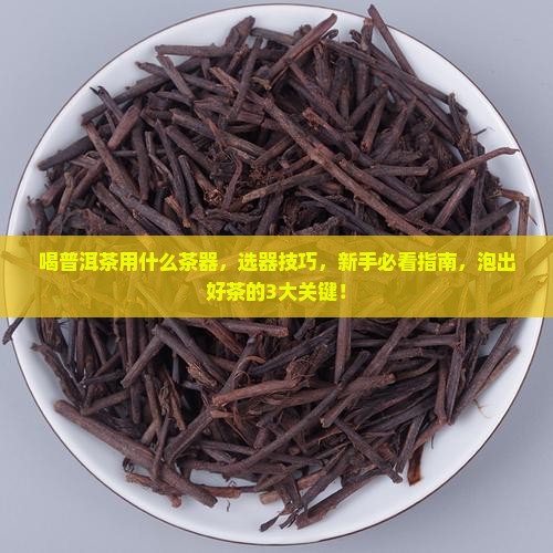 喝普洱茶用什么茶器