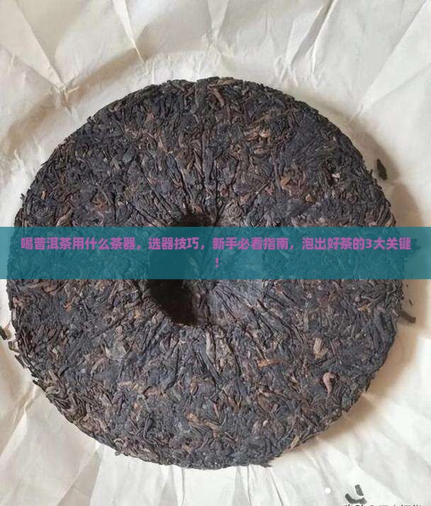 喝普洱茶用什么茶器