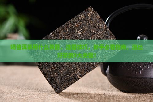 喝普洱茶用什么茶器