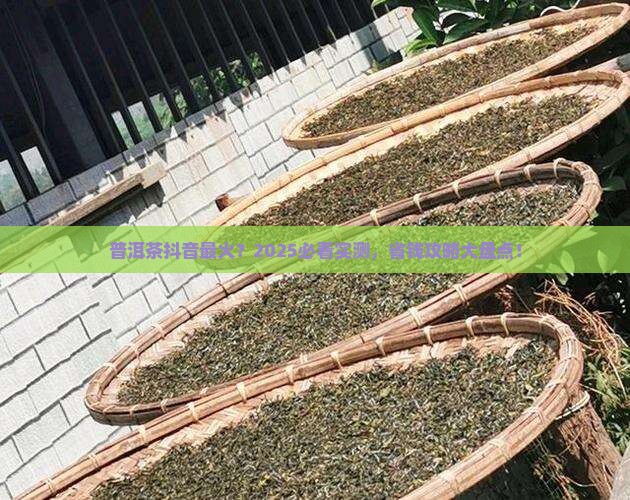 普洱茶抖音最火
