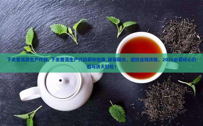 下关普洱茶生产代码