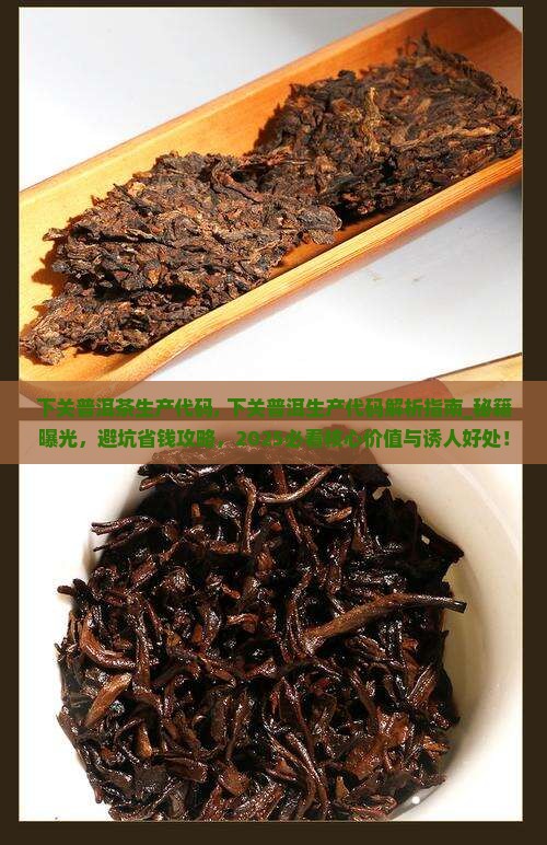 下关普洱茶生产代码