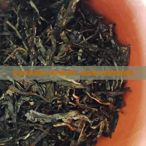 普洱茶温湿度计