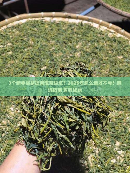 整提普洱茶购买藏