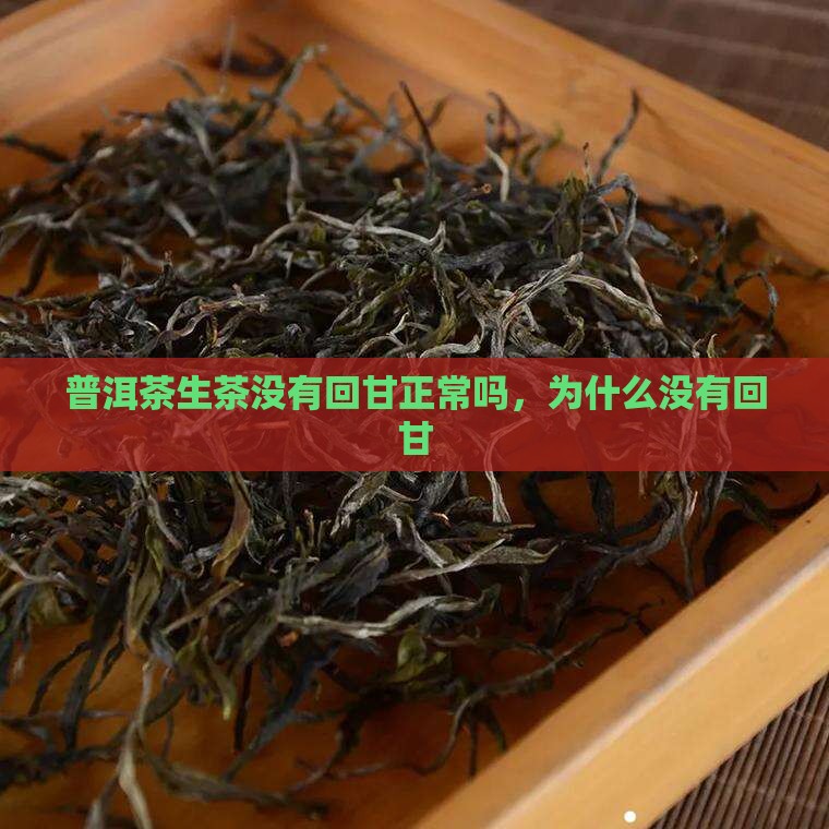 普洱茶生茶没有回甘