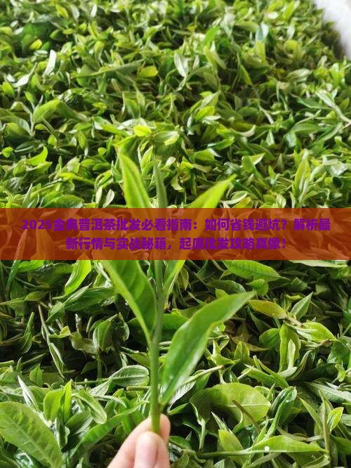 金典普洱茶批发