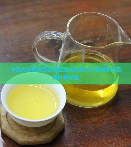 中茶大叶种茶普洱茶