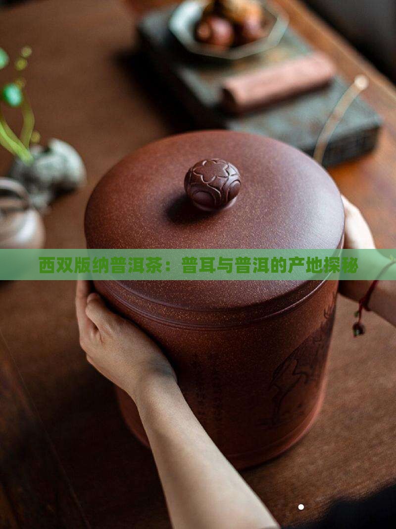 西双版纳有没有普洱茶