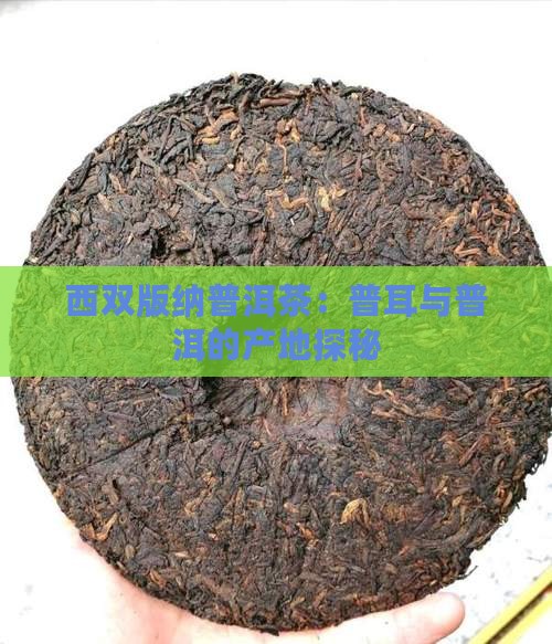 西双版纳有没有普洱茶