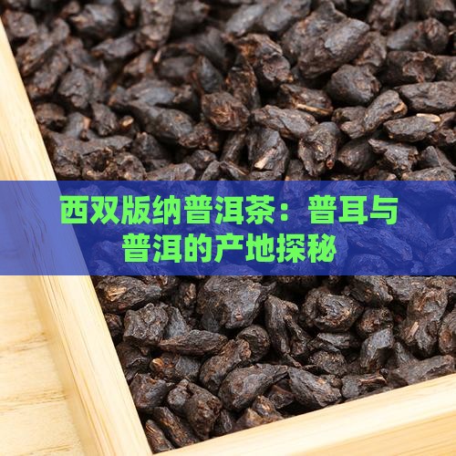 西双版纳有没有普洱茶