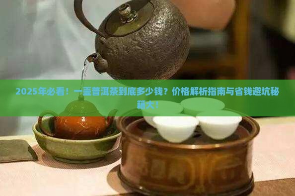 一壶普洱茶有多少钱