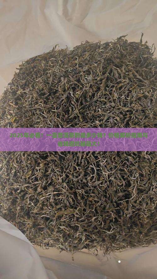 一壶普洱茶有多少钱