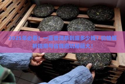 一壶普洱茶有多少钱