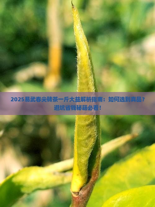 易武春尖砖茶一斤大益易武春尖