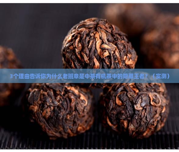 中茶有机老班章