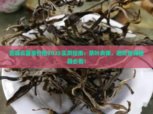 雪峰云雾茶云雾茶叶价格