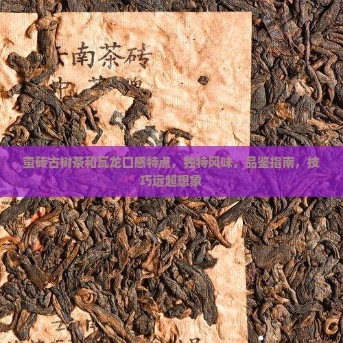 蛮砖古树茶和瓦龙口感特点