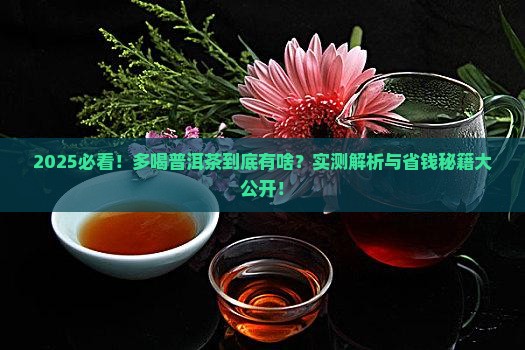 多喝普洱茶什么意思