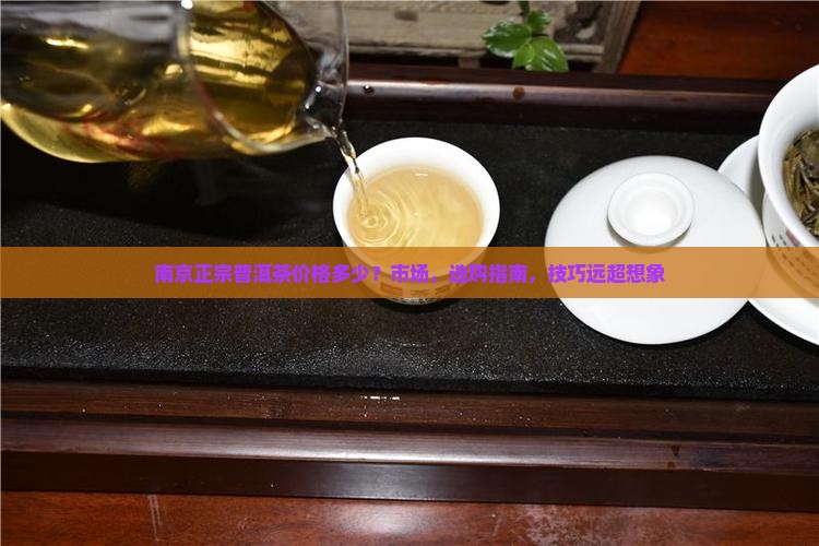 南京正宗普洱茶价格