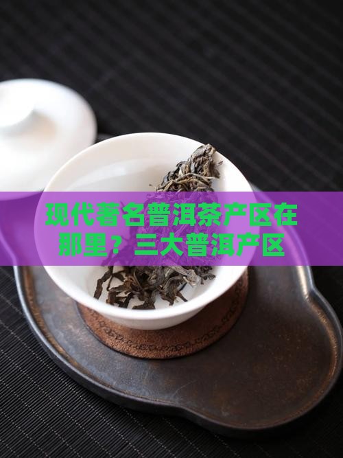 现代著名普洱茶产区是那里
