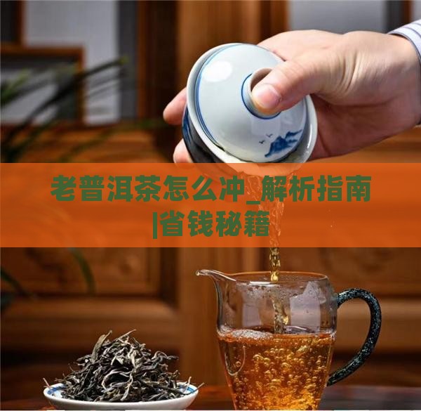 老普洱茶怎么冲
