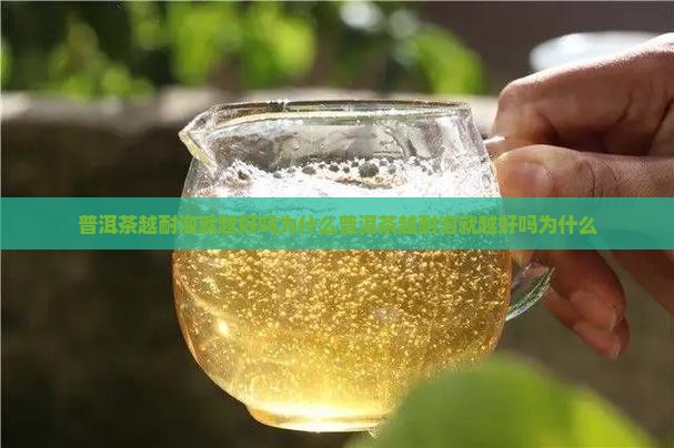 普洱茶越耐泡就越好吗为什么
