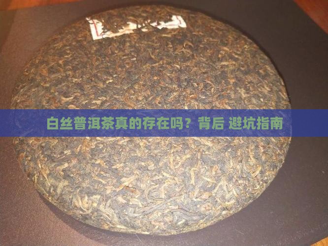 为什么叫白丝普洱茶呢是真的吗