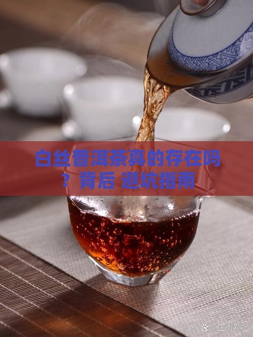 为什么叫白丝普洱茶呢是真的吗