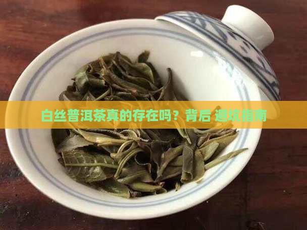 为什么叫白丝普洱茶呢是真的吗
