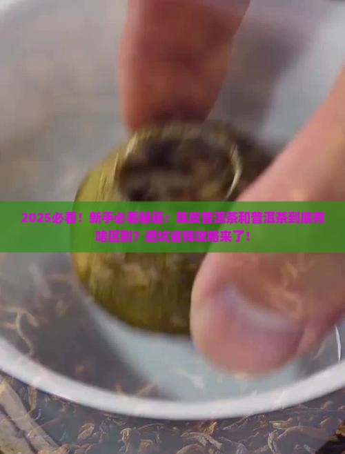 陈皮普洱茶和普洱的区别