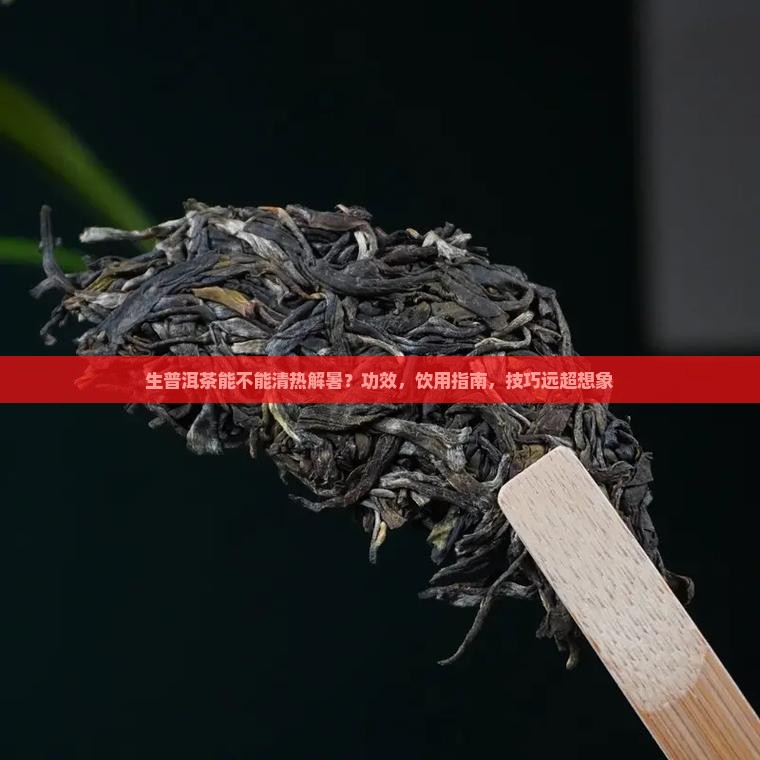 生普洱茶能不能清热解暑
