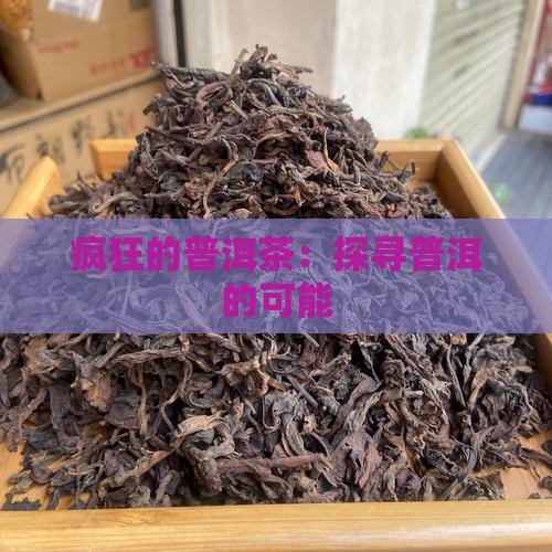 一个疯狂的普洱茶