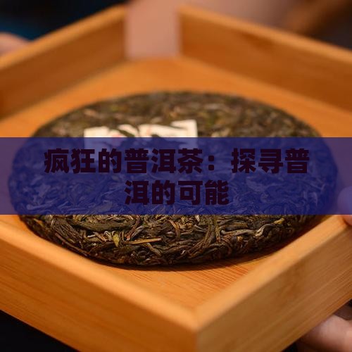 一个疯狂的普洱茶