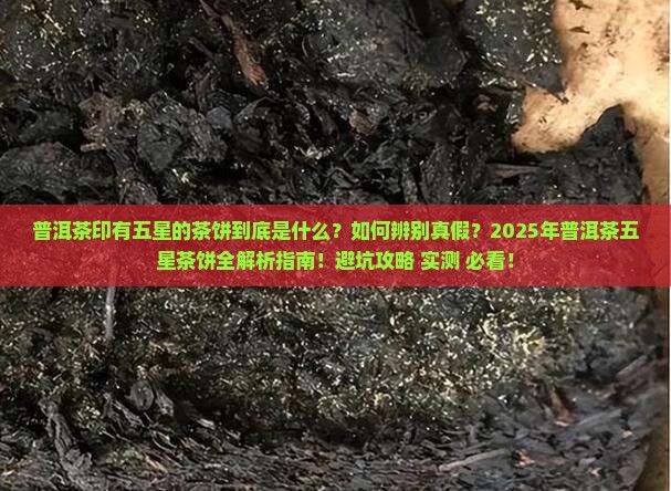 普洱茶印有五星的茶饼