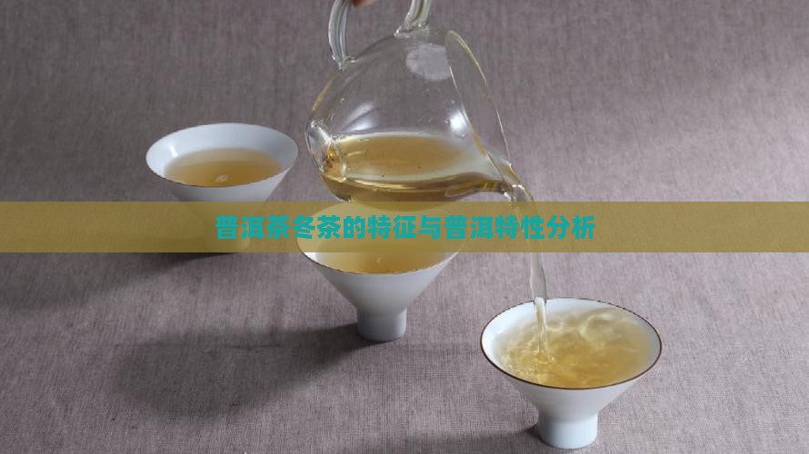 普洱茶冬茶的特征