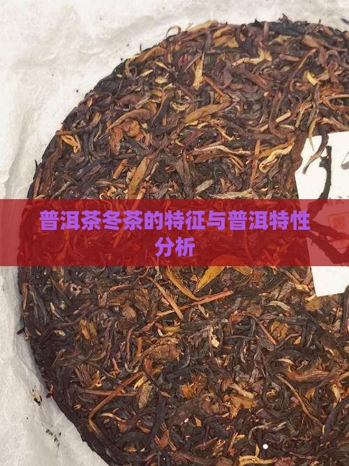 普洱茶冬茶的特征