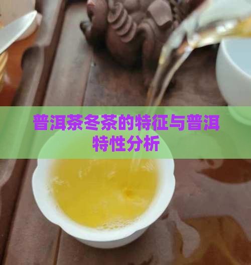 普洱茶冬茶的特征