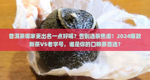 普洱茶哪家更出名一点好喝